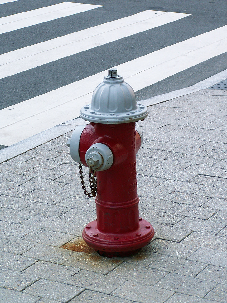 hidrants, foc, vermell, EUA, pas de zebra, paviment