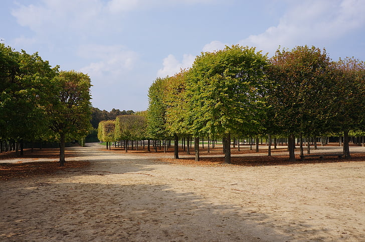 Paris, parisiense, França, Palácio de Versalhes, Palácio de Versalhes, jardim, madeira