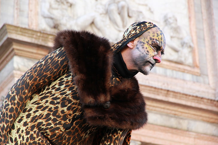 kostym, Leopard, bild