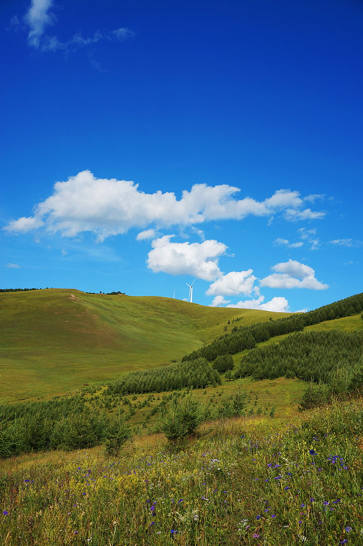Hebei fengning bashang travišča, modro nebo, bel oblak, gore