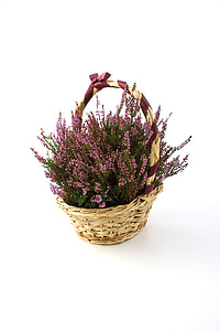 flower, flowers, basket, baskets, heath, heather, bell