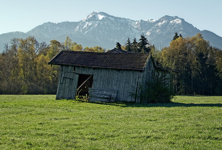 hut, barn, old, nature, field, meadow, field barn