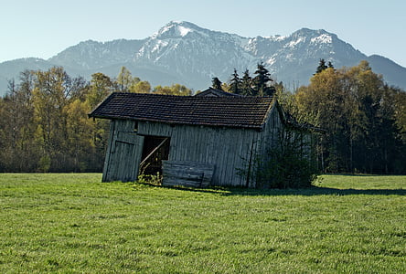 hut, barn, old, nature, field, meadow, field barn