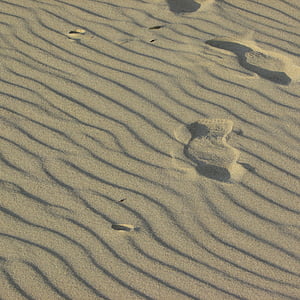 바람 파도, 모래 해변, 코끼리 바위 해변