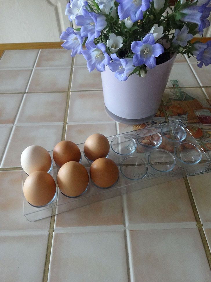 eggs, bellflower, table