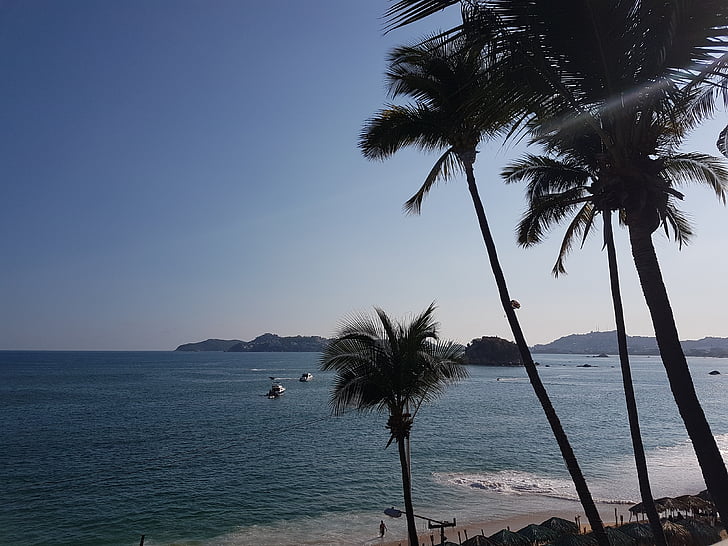 palmas das mãos, azul, mar, Relaxe, praia, céu, paisagem