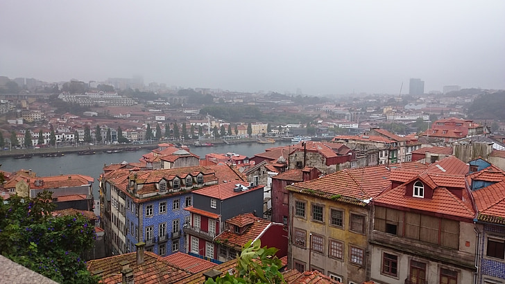 Portugalsko, Porto, Architektura, mlha, střechy, město, budovy
