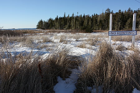 Nova scotia, çimen, Kış, kar, yok av, okyanus, Kanada