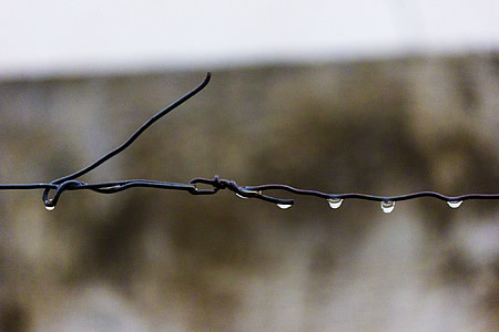 wire, barbed, rain, drops, wet, sharp, fence
