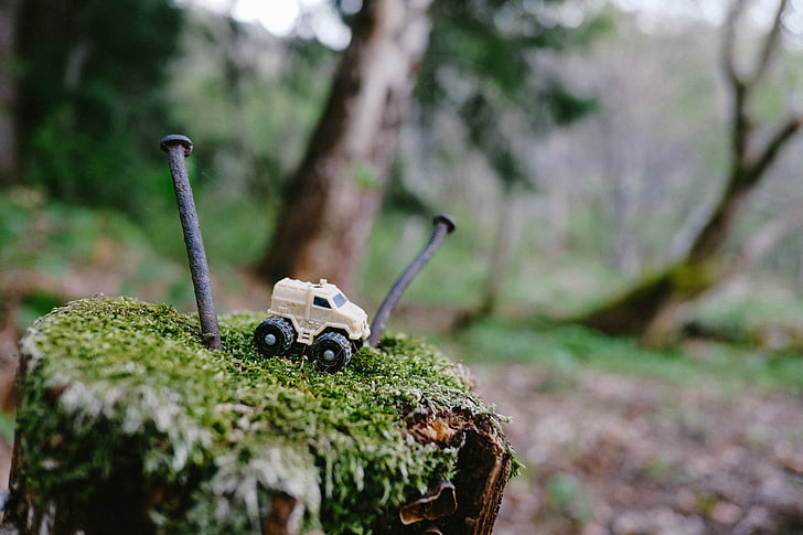forest, toy, truck, no people, day, plant, outdoors