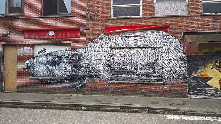 grafitti, Doel, Belgien