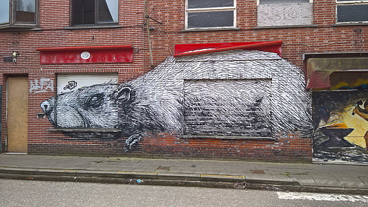grafitti, Doel, Belgio