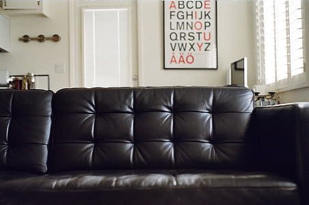 pèl inserit, negre, cuir, sofà, mobles, sala d'estar, sofà