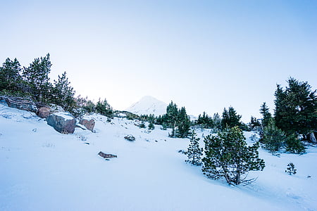 пейзаж, фотография, планински, обхванати, сняг, зимни, студена температура
