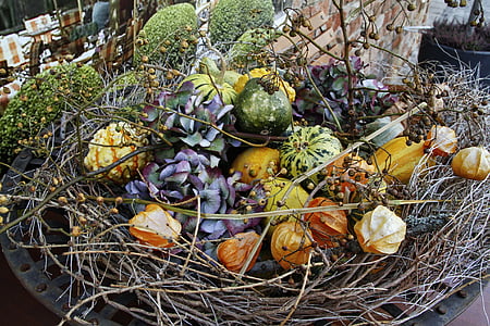 basket, decorative, dried flowers, colorful, handcraft, design