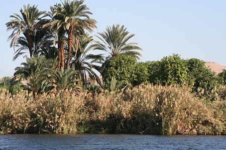 nile, bank, travel, egypt, nature, water, luxor