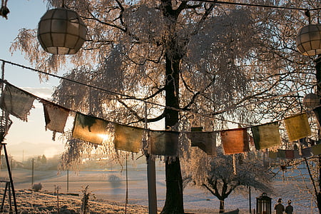 iarna, congelate, dimineata, Răsărit de soare, Elveţia, Zürcher oberland, gruet