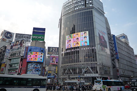 Japó, ciutat, cases, Shibuya, Tòquio, Centre, Panorama urbà