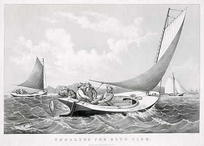 fischer, fishing, sailing boats, sail, game fish, 1866, black and white