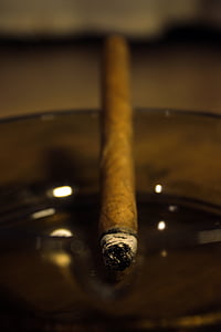 ash, ashtray, cigar, close-up, macro, tobacco, wood - Material