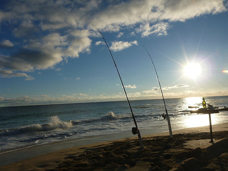 pesca, relaxamento, praia, oceano, carretel, ao ar livre, mar