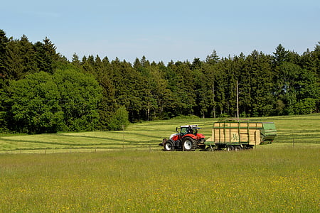 Bauer, landbrug, traktor, trailere, hø, høst, natur