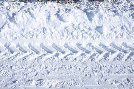 トレース, 雪, ホワイト, 冬, 冷, 氷のような, 雪に覆われました。