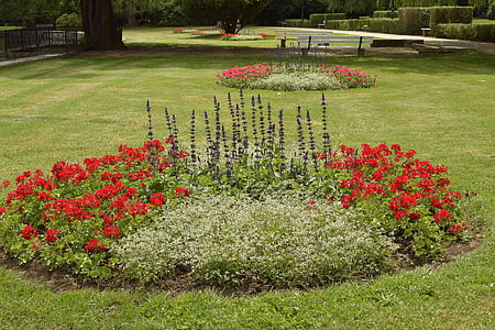 Park, kwiaty, pieszo, zieleń, kwiat, Natura, trawa