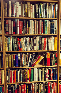 books, bookshelf, bookstore, bookshop, reading, education, book