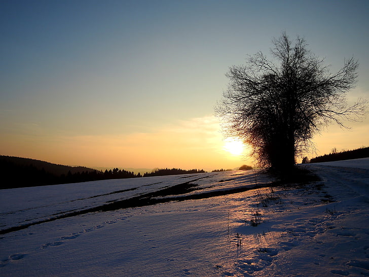 regionen vysočina, vinter, naturen