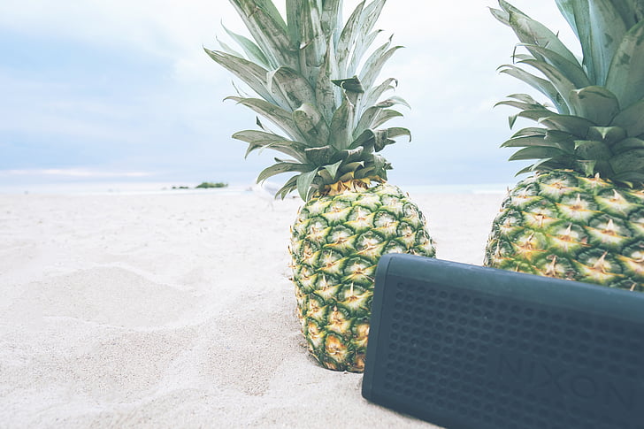 pineapples, beach, picnic, music, sound, speaker, audio