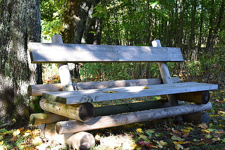 bank, forest, rest, rustic, break, nature, bench