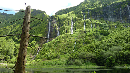 thác nước, núi, cảnh quan, rừng, dòng chảy, dãy núi, đảo Azores