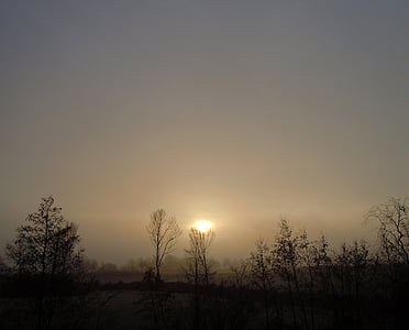 ранковий туман, світло назад, Схід сонця