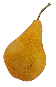 pære, Bosc, Bosc pear, frugt, sund, mad, moden