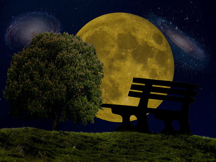 Månen, Star, universet, træ, Bank, nat, nattehimlen