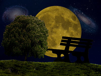 Lune, Star, univers, arbre, Banque, nuit, ciel nocturne