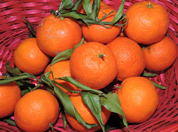 Мандарин, оранжевый, фрукты, Корзина, цитрусовые фрукты, продукты