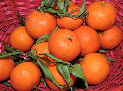 mandarin, narancs, gyümölcs, kosár, citrusfélék, élelmiszerek