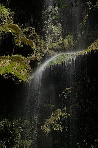 water, moss, waterfall, nature, lichen, flow, mystical