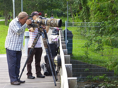 Nhiếp ảnh gia, Nhiếp ảnh, máy ảnh, ống kính zoom, chuyên nghiệp, màu xanh lá cây, công viên