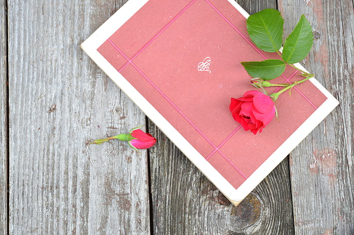 rosa vermelha, livro, flor, broto, mesa de madeira, vintage