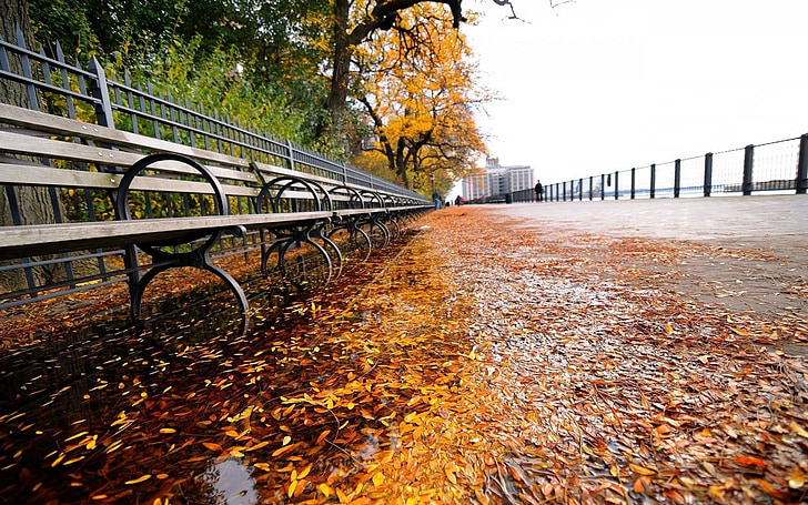 podzim, New york, York, město, na podzim, Manhattan, městský