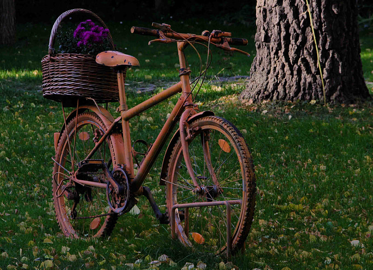 cykel, gamla, retro, pensionerad, Mogen