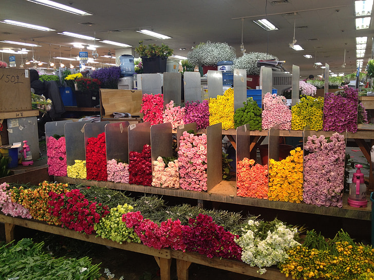 flors, Rosa, emmagatzematge, mercat