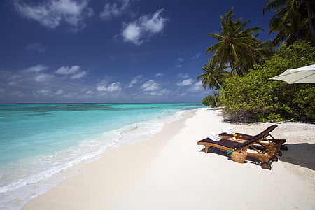 white sand, beach ocean, loungers, tropical, vacation, blue sky, waves
