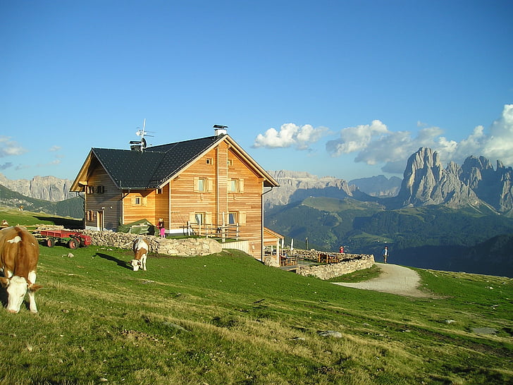 raschoetzhuette, namelis, Alm, Sassolungo, kalnai, Dolomitinės Alpės, Pietų Tirolis