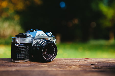 AE-1, analogowe kamery, Canon, filmowanie, Natura, fotografii