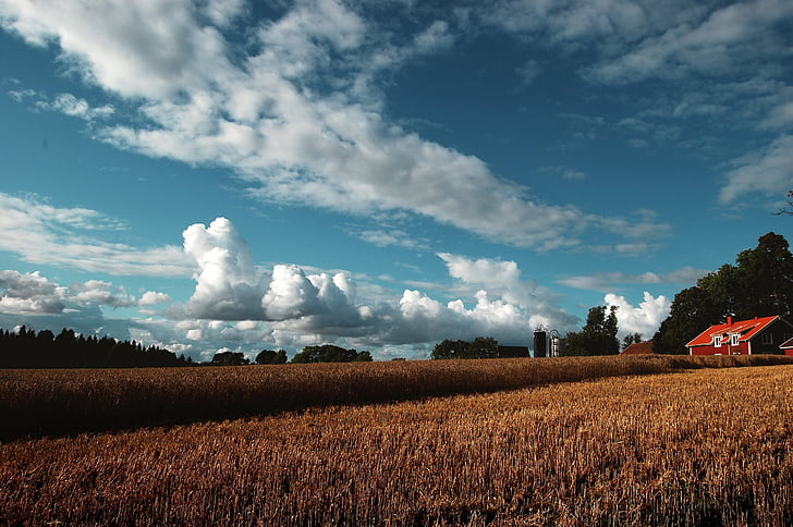 mezőgazdaság, pajta, felhők, vidéken, termés, termőföld, Farm