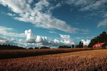 agriculture, barn, clouds, countryside, crop, cropland, farm